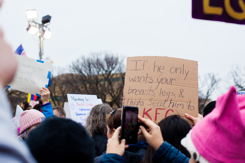 Illustration for article titled WOMEN'S MARCH ON WASHINGTON : THE SIGNS